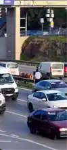 Maltepe'de E5'te Kovalamaca: Büyükbaş Hayvan Kaçtı!