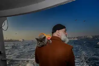 Reis ve Sahibi İstanbul'u Keşfediyor!