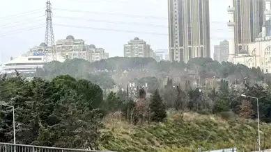 İstanbul'da Kar Yağışı Başladı: Anadolu Yakası Etkilendi