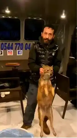 Denizde Tilkiyi Kurtaran Beşiktaşlı Genç